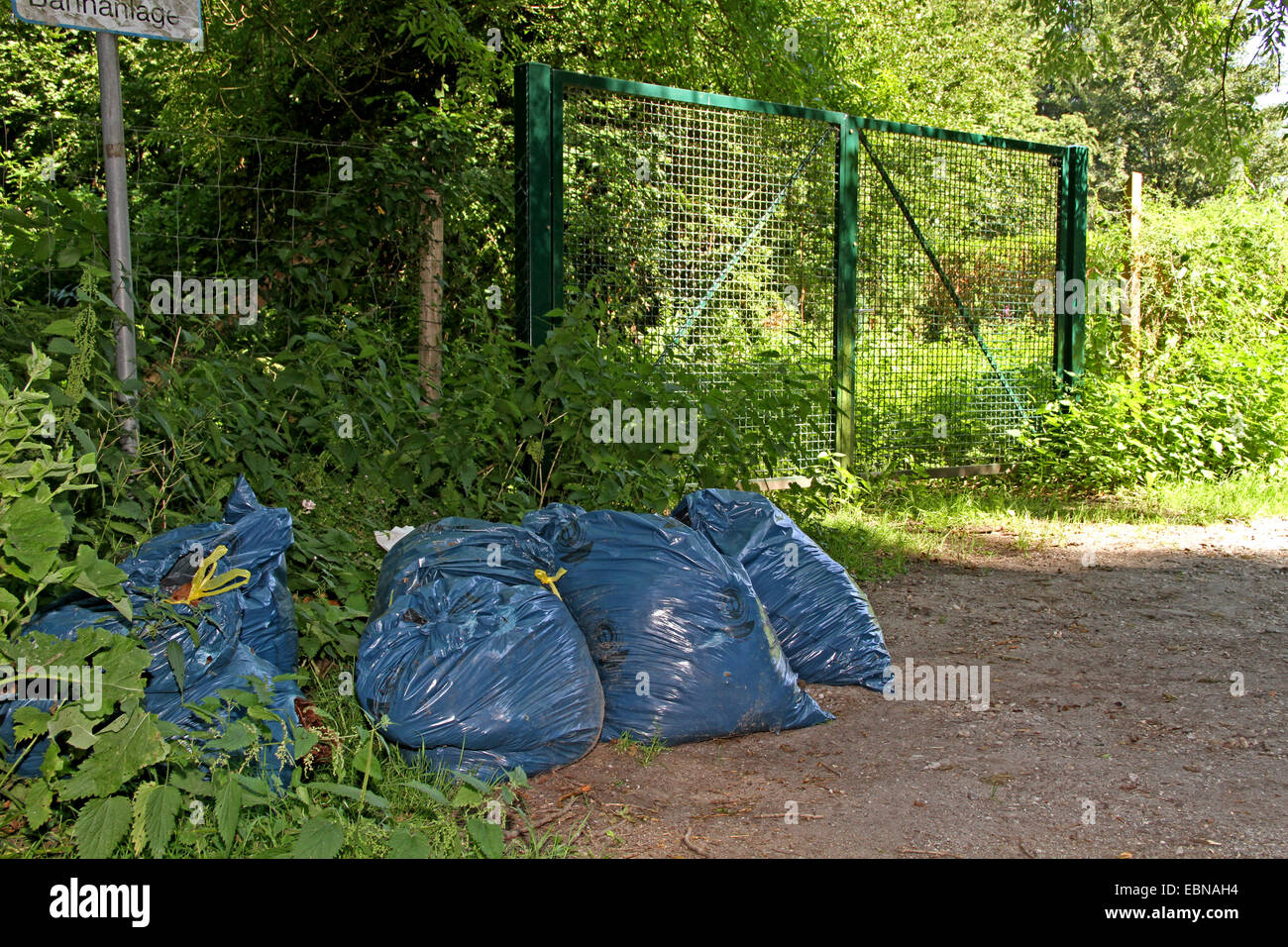 Binbags bleu au bord de la route, l'élimination des déchets, Allemagne Banque D'Images
