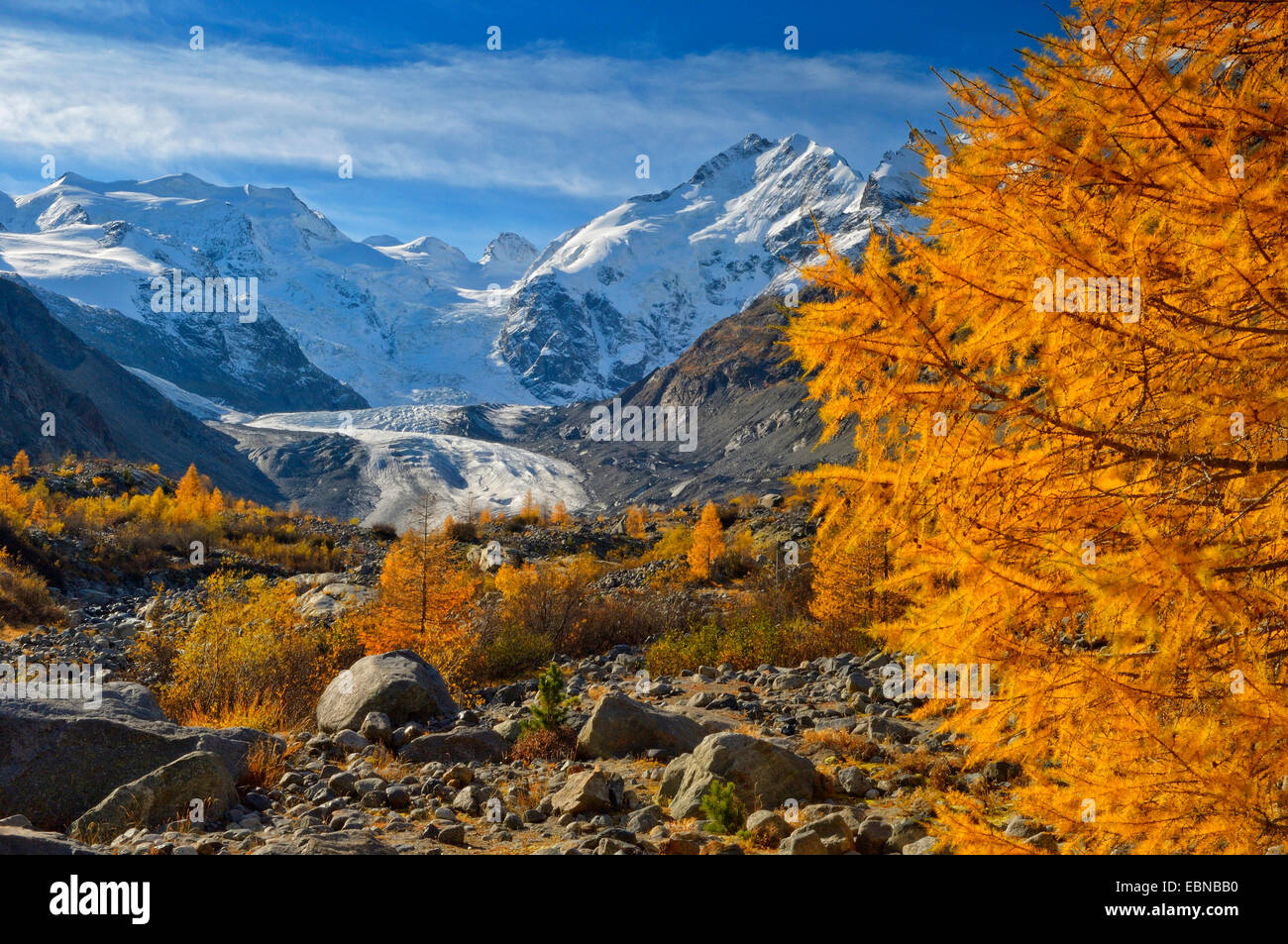 Glacier Morteratsch avec groupe de la Bernina, Bellavista sur la gauche, le Piz Bernina avec Biancograt à droite, en Suisse, Grisons, Oberengadin Banque D'Images