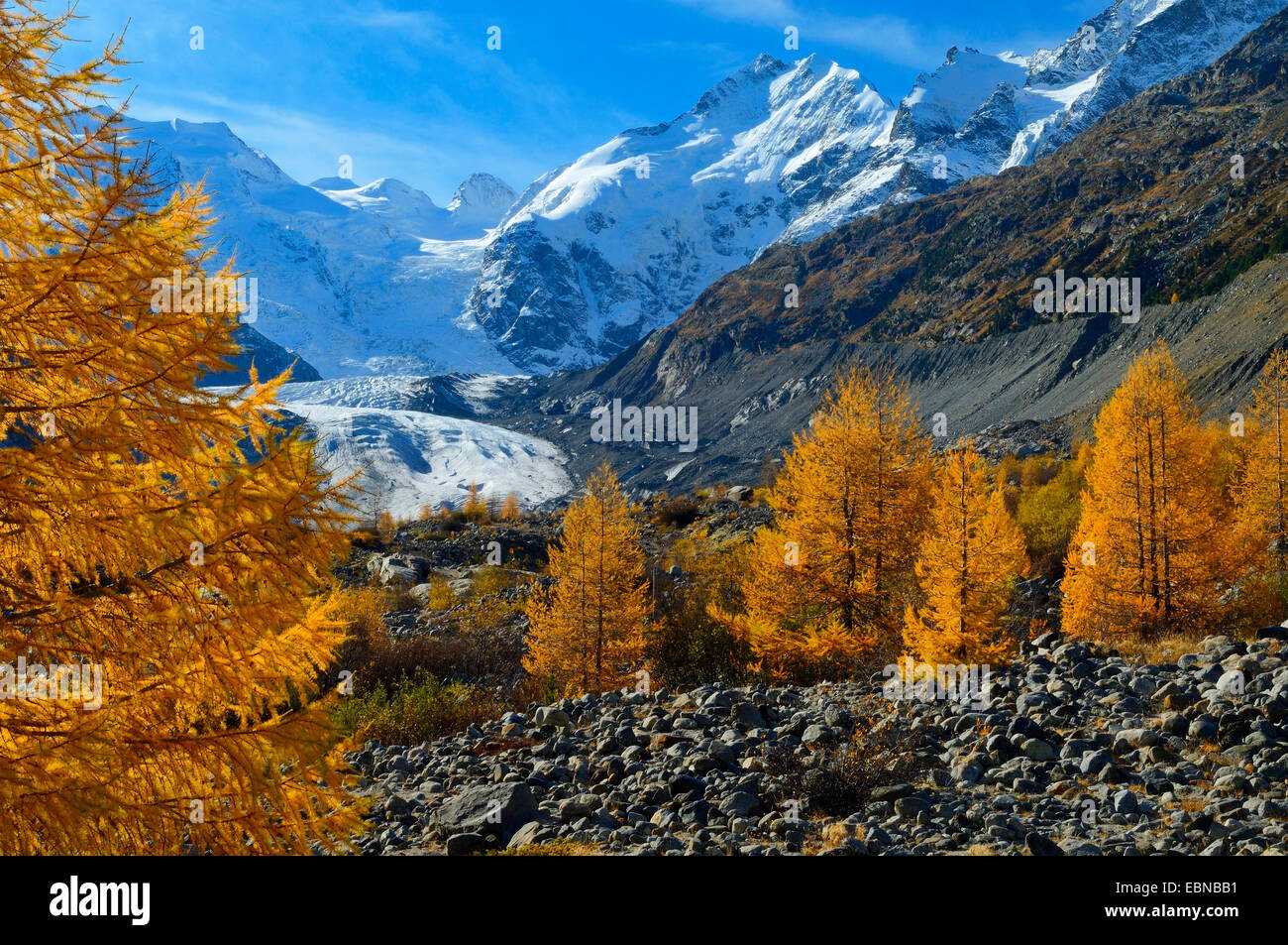 Glacier Morteratsch avec groupe de la Bernina, Bellavista sur la gauche, le Piz Bernina avec Biancograt à droite, en Suisse, Grisons, Oberengadin Banque D'Images