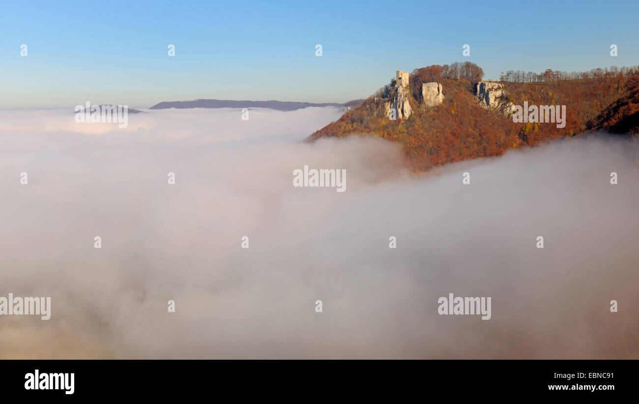 Les ruines du château dans Reusenstein avec brouillard d'automne à la réserve de biosphère Alb Schwaebische, Allemagne, Bade-Wurtemberg Banque D'Images