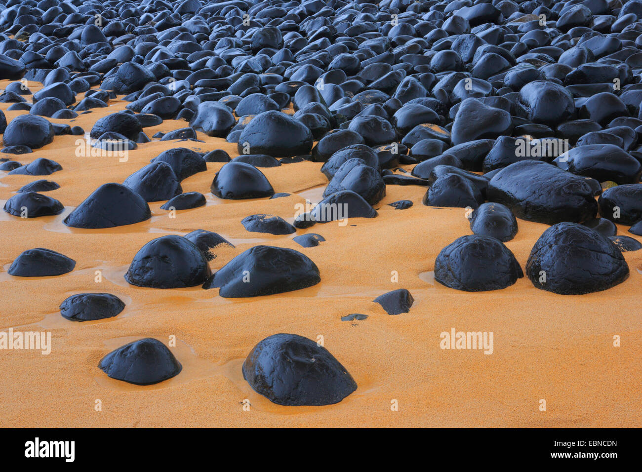 Pierre noire plage de Northumberland, Royaume-Uni, Angleterre, Northumberland Banque D'Images