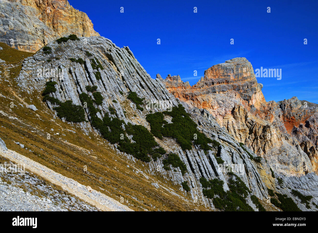 Dans les couches de roche Dolomite Alpes, Italie, Tyrol du Sud, Dolomiten Banque D'Images