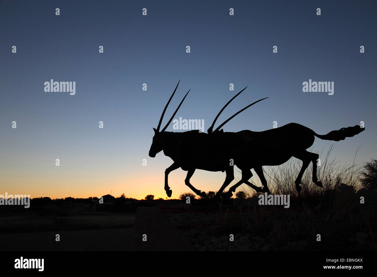 Gemsbok, Oryx gazella beisa (monument), à l'entrée de la Twee Rivieren camp, avant le lever du soleil, l'Afrique du Sud, Kgalagadi Transfrontier National Park Banque D'Images