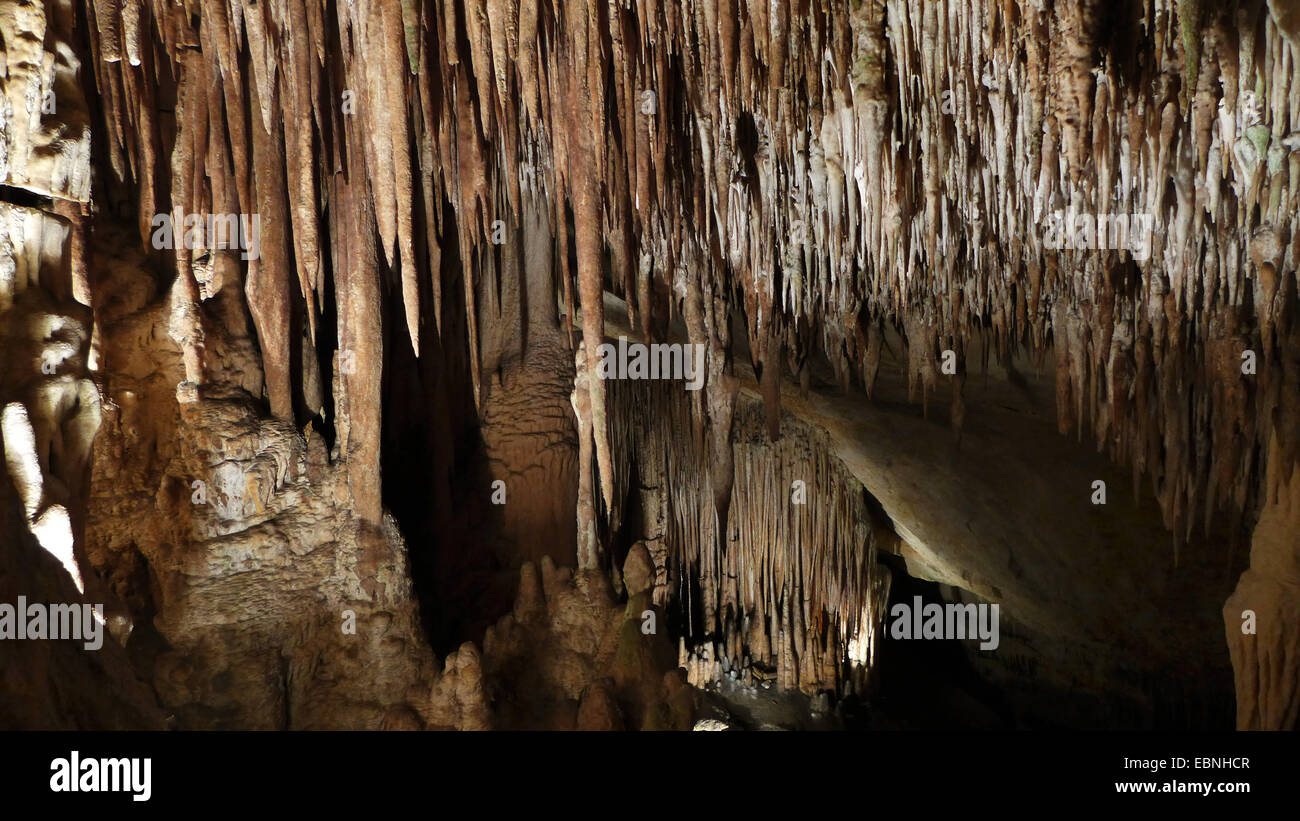 Grottes del Drach, grotte de dragon, Espagne, Baléares, Majorque, Porto Christo Banque D'Images
