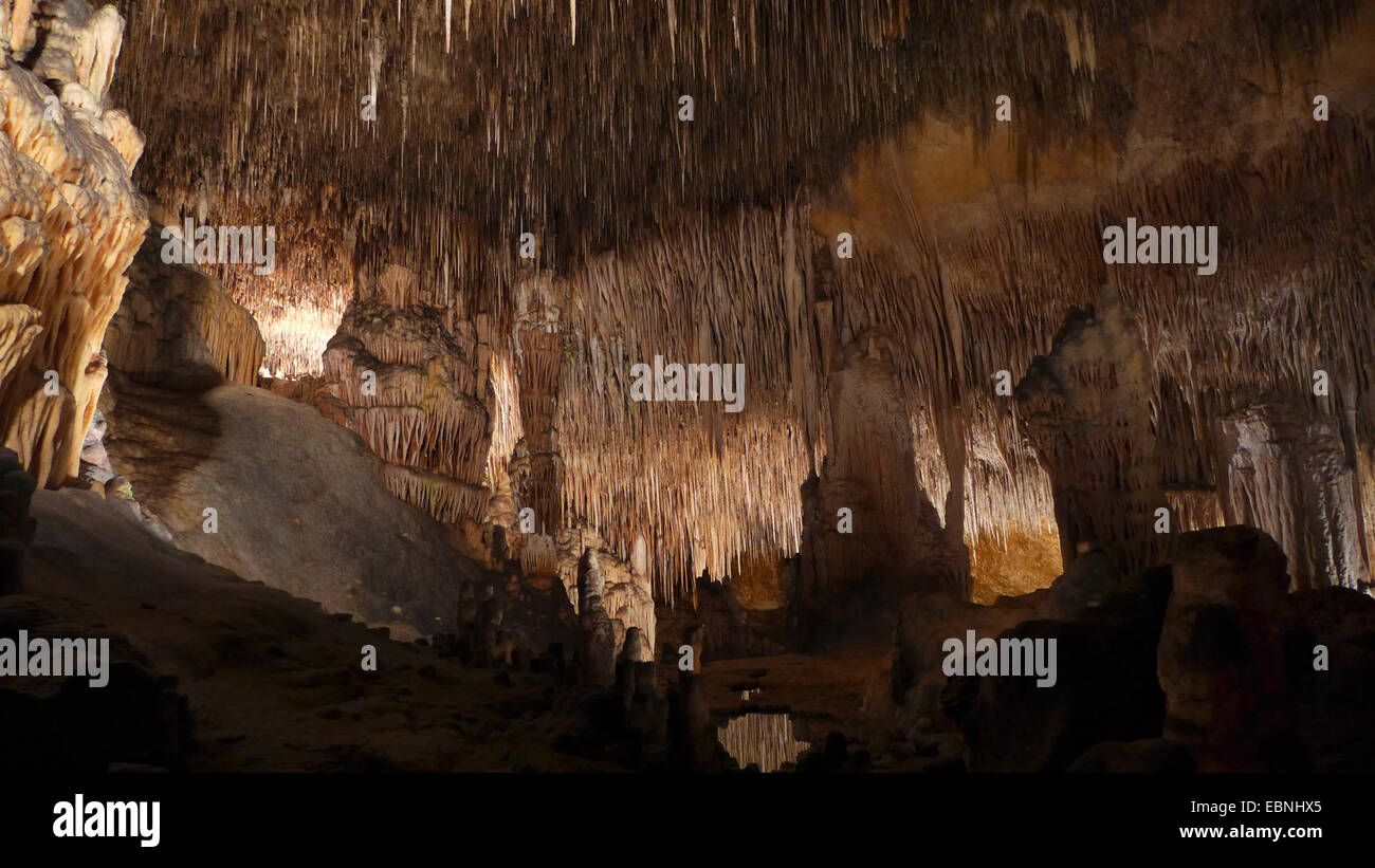 Grottes del Drach, grotte de dragon, Espagne, Baléares, Majorque, Porto Christo Banque D'Images