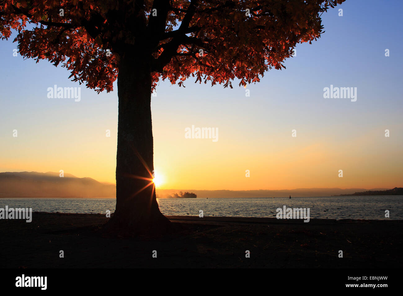 Le lac de Zurich au coucher du soleil, Suisse, Zuerichsee, Rapperswil Banque D'Images