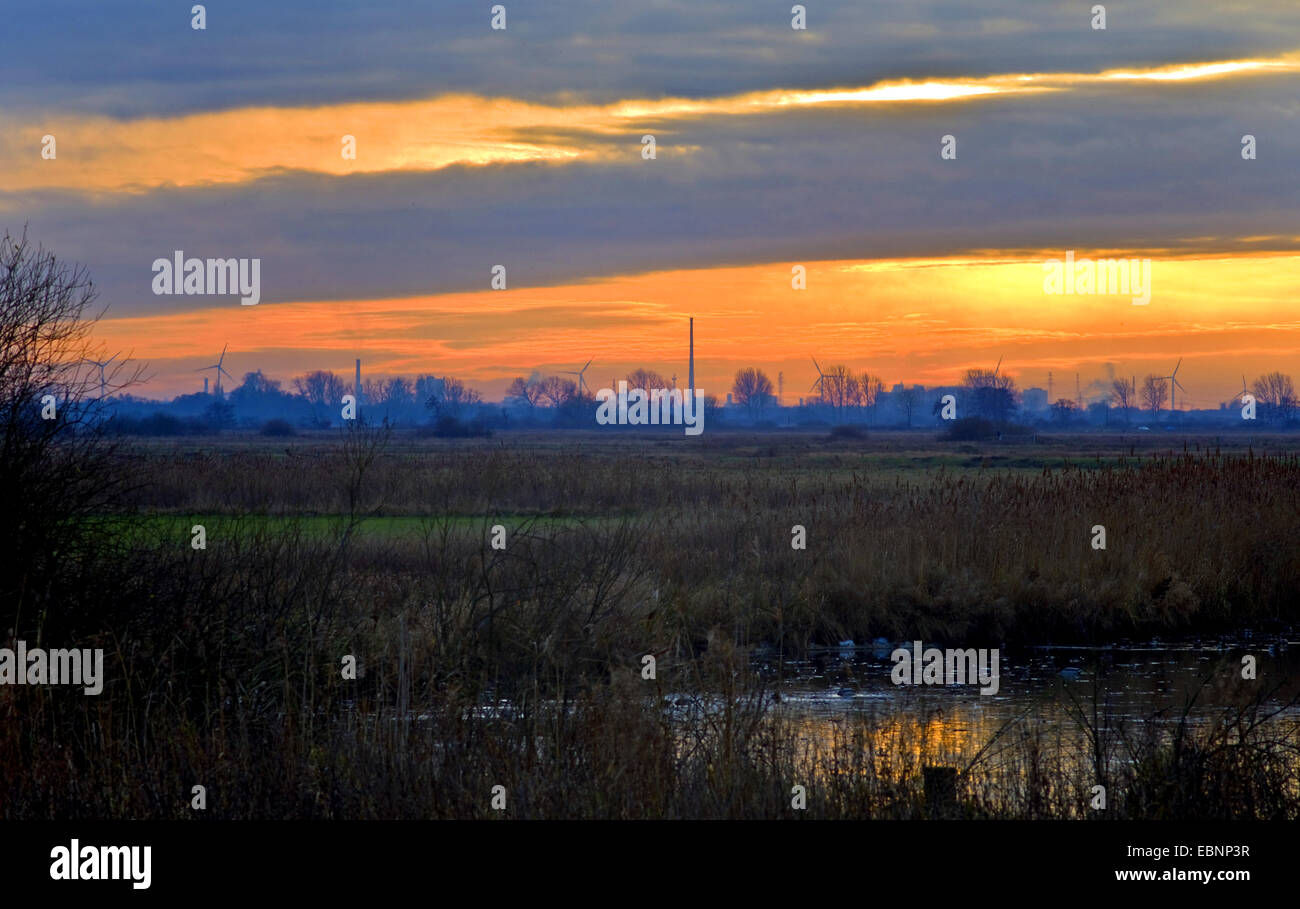 Lumière du soir à la réserve naturelle Breites wasser, dans l'arrière-plan power station Hafen et moulin d'acier Arcelor Mittal, en Allemagne, en Basse-Saxe, Osterholz Banque D'Images