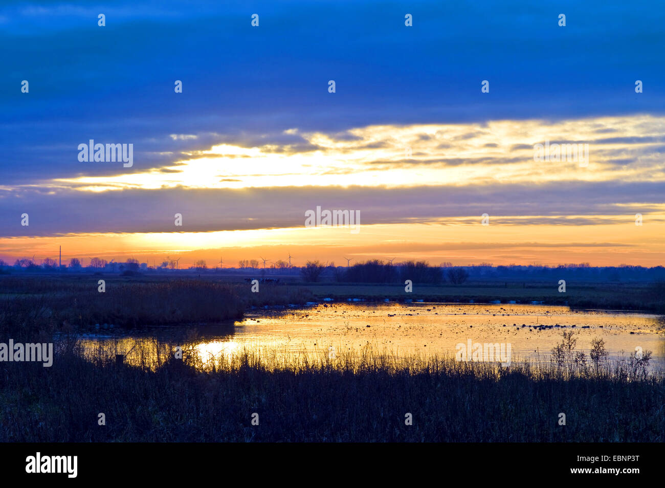 Lumière du soir à la réserve naturelle Breites wasser, dans l'arrière-plan power station Hafen et moulin d'acier Arcelor Mittal, en Allemagne, en Basse-Saxe, Osterholz Banque D'Images