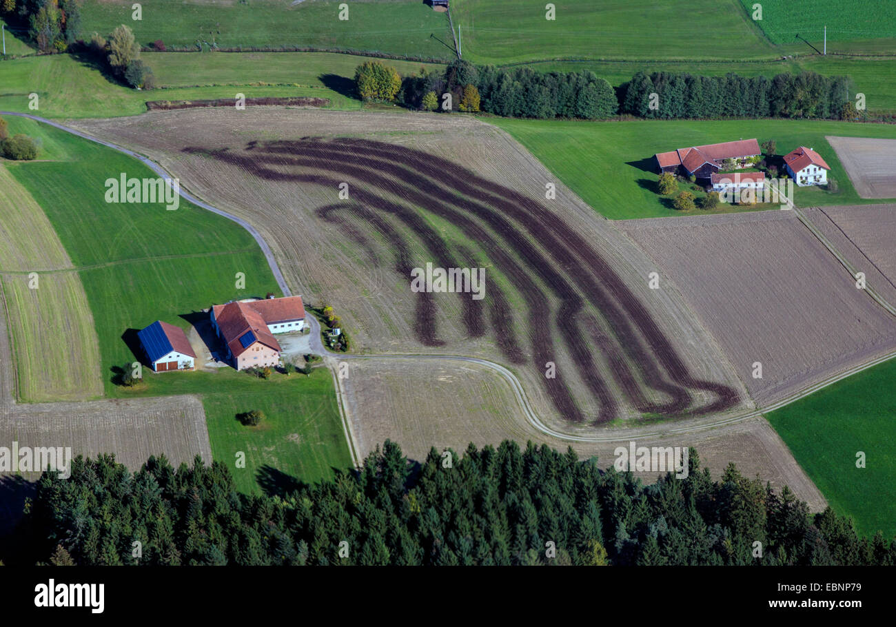 Vue aérienne sur le champ fertilisé avec du fumier, l'Allemagne, la Bavière Banque D'Images