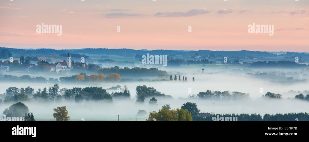Forêt et collines tôt le matin, le brouillard, l'inversion atmosphérique, Allemagne, Bavière, Isental, Dorfen Banque D'Images