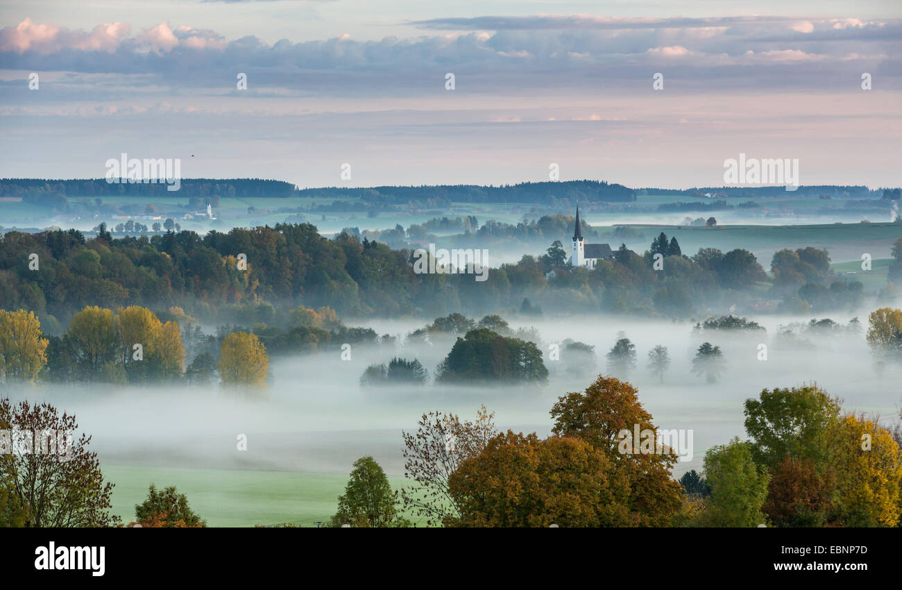 Forêt et collines dans la brume au petit matin, l'Allemagne, Bavière, Isental, Dorfen Banque D'Images