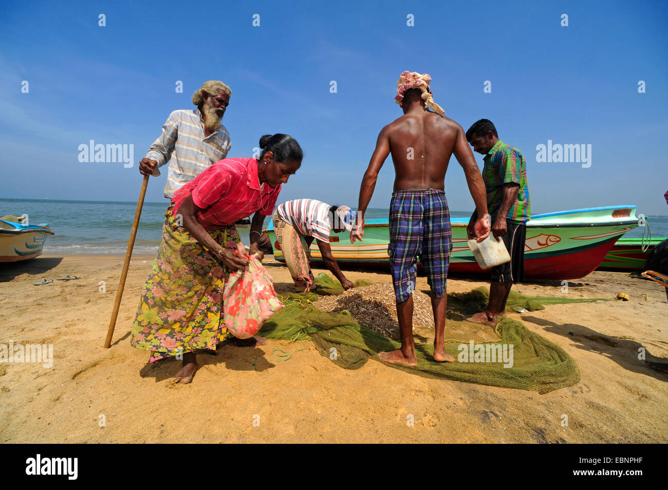 Groupe de pêcheur sur la plage de Negombo, Sri Lanka, Negombo Banque D'Images