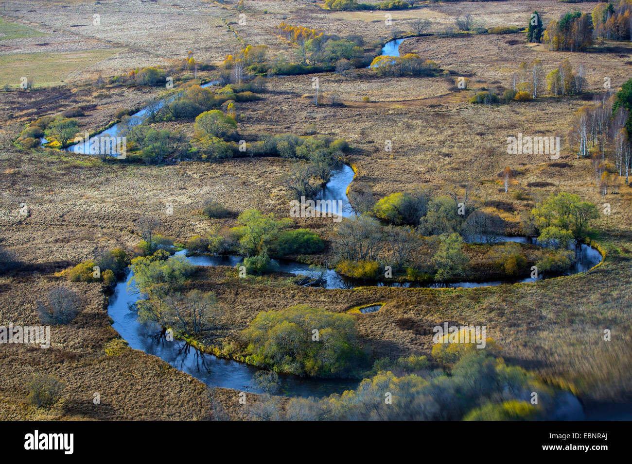 Vue aérienne de Warme Moldau serpentant à travers tourbières bombées d'automne, la République tchèque, Parc National Sumava Banque D'Images