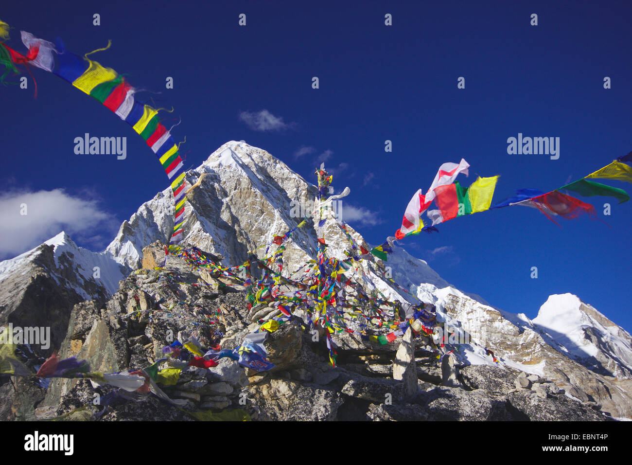 Pumori avec flagsn la prière. Vue depuis le Kala Patthar, Népal, Himalaya, Khumbu Himal Banque D'Images