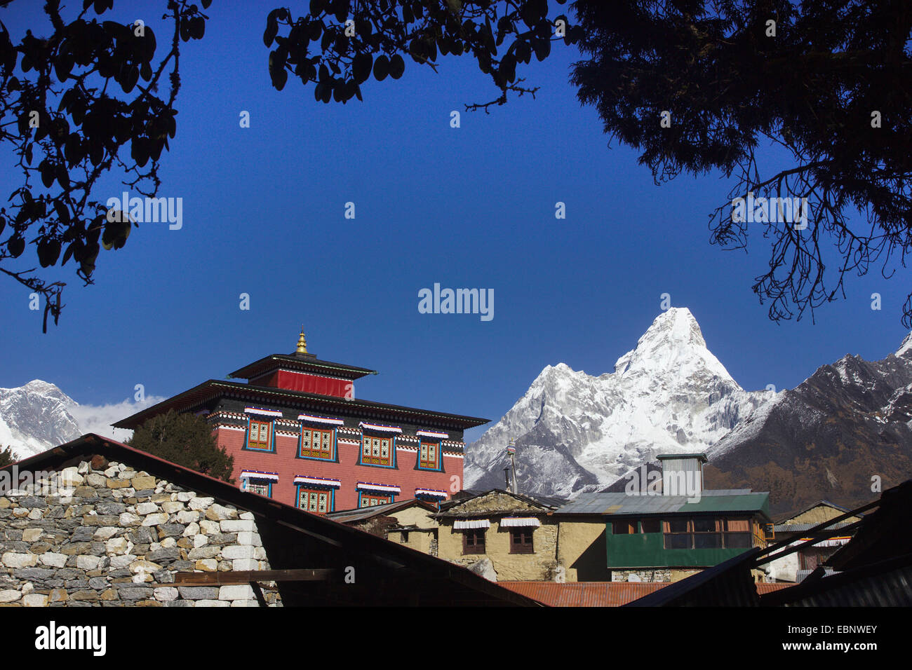 Le Monastère de Tengboche et l'Ama Dablam, Népal, Himalaya, Khumbu Himal Banque D'Images
