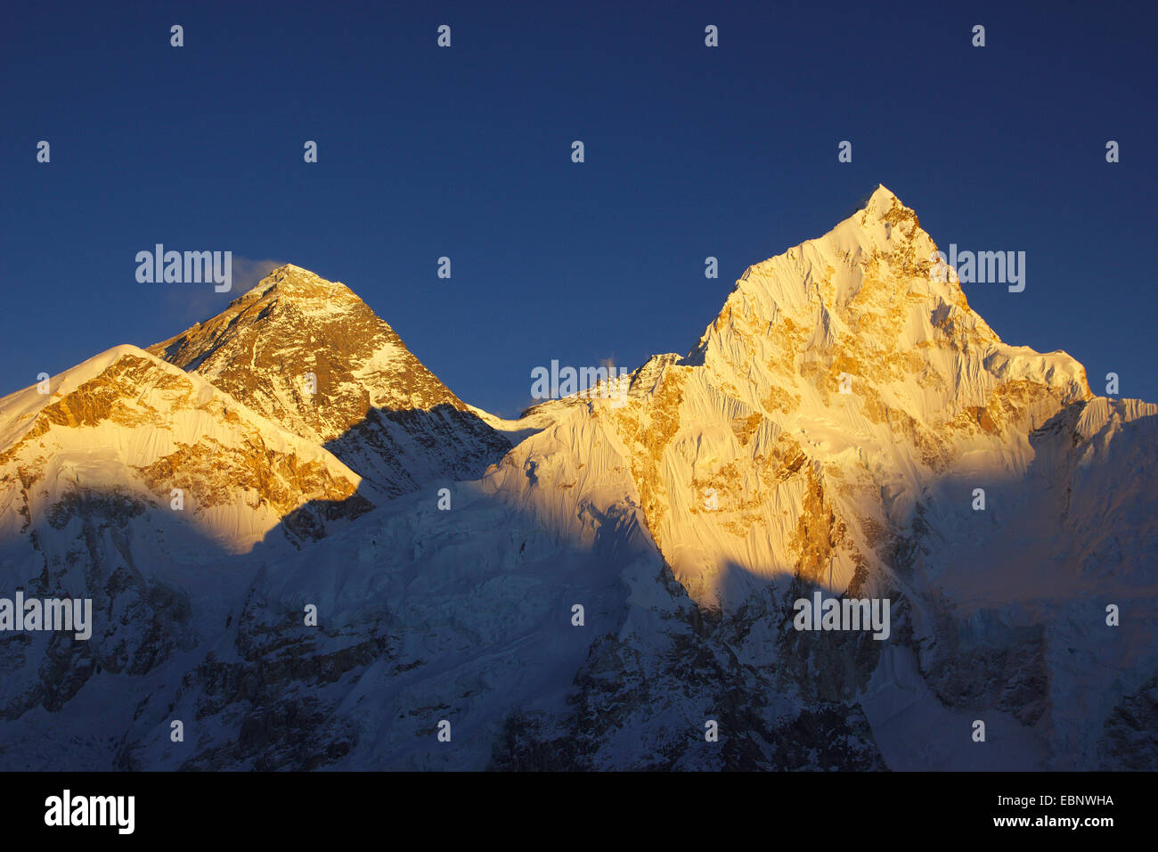 Le mont Everest (en face : à l'ouest de l'épaule) et Nuptse dans lumière du soir. Vue depuis le Kala Patthar, Népal, Himalaya, Khumbu Himal Banque D'Images