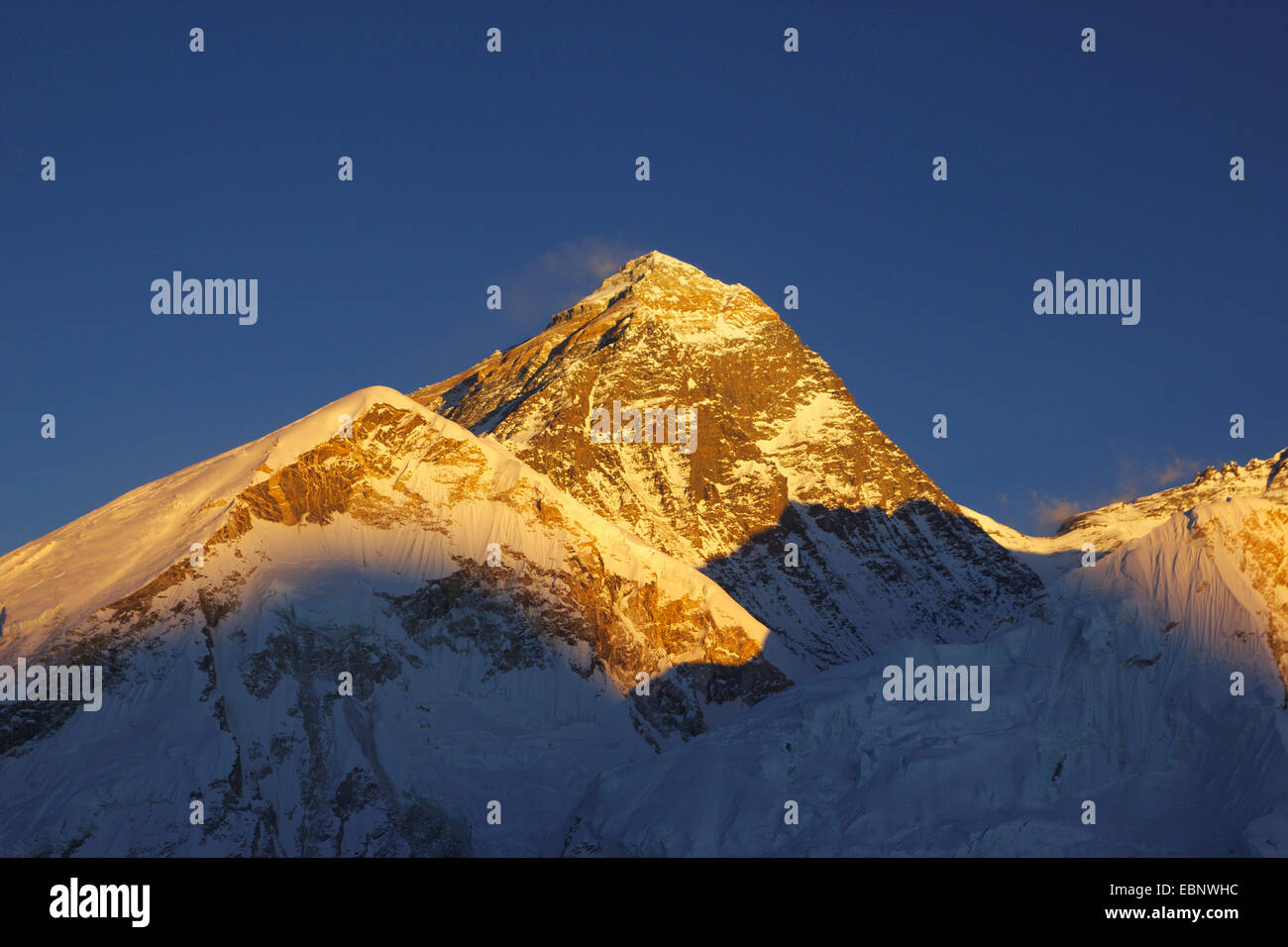 Le mont Everest (en face : à l'ouest de l'épaule) dans la lumière du soir. Vue depuis le Kala Patthar, Népal, Himalaya, Khumbu Himal Banque D'Images