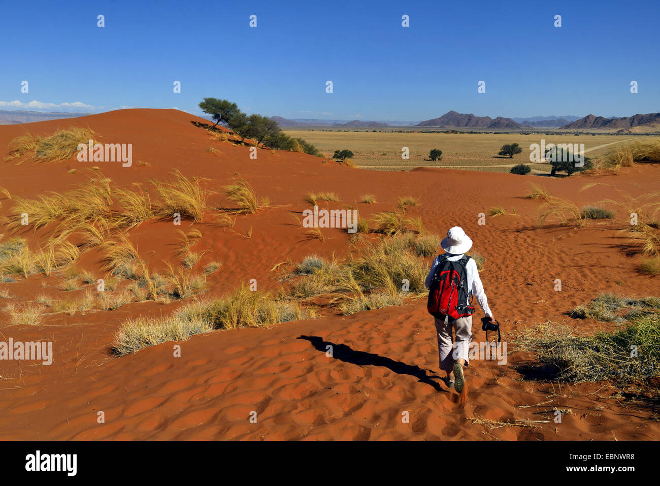 Randonneur dans le parc national de Naukluft Sesriem camp, près de la Namibie, le Parc National Namib Naukluft Banque D'Images