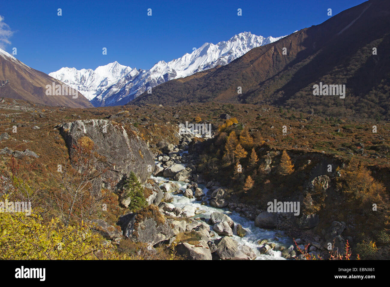 Langtang Valley avec Gangchempo et Ponggen Dopku, Népal, Langtang Himal Banque D'Images