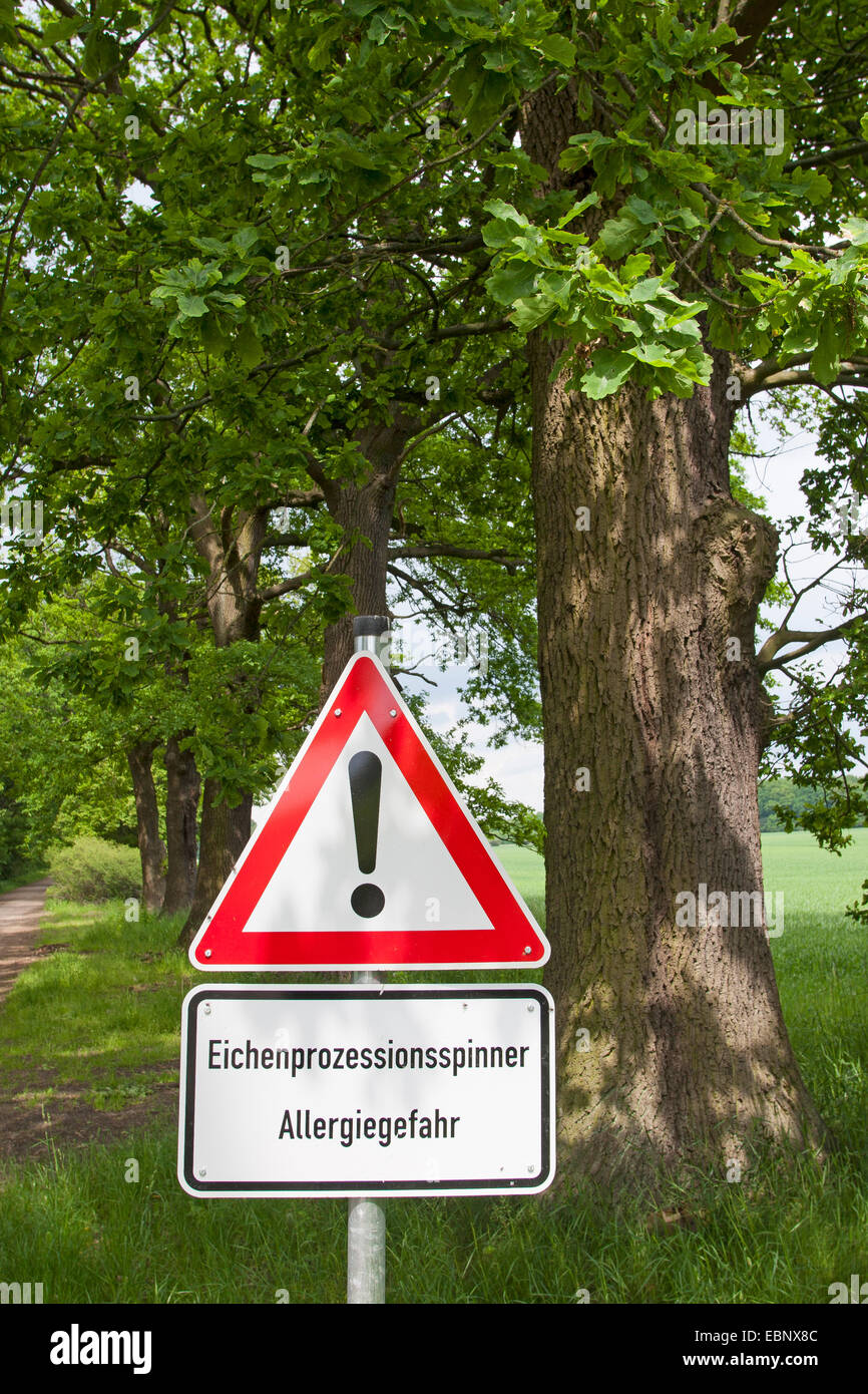 Chenille processionnaire du chêne (Thaumetopoea processionea), avertissement, riks de allery à cause des papillons de la chenille processionnaire chêne dans une forêt infestée, Allemagne Banque D'Images