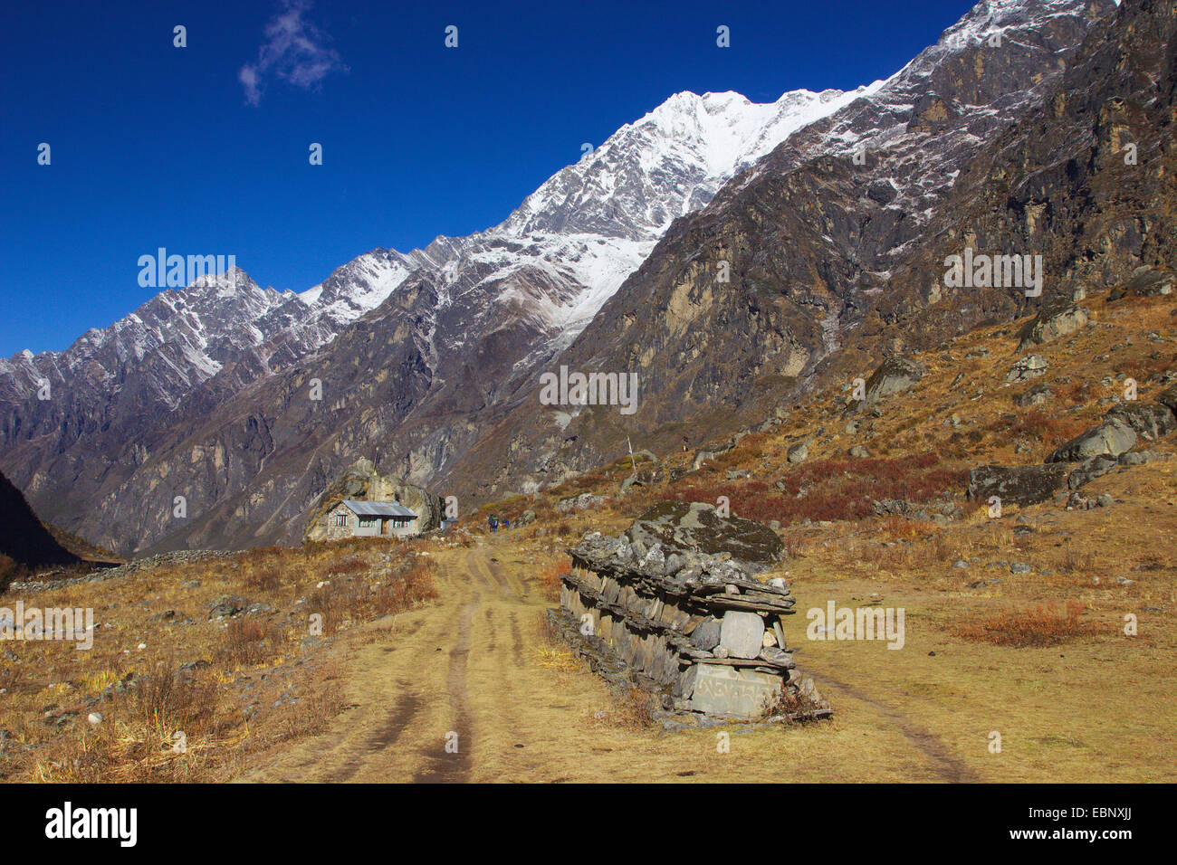 Mur Mani près du village de Langtang, Népal, Langtang Himal Banque D'Images