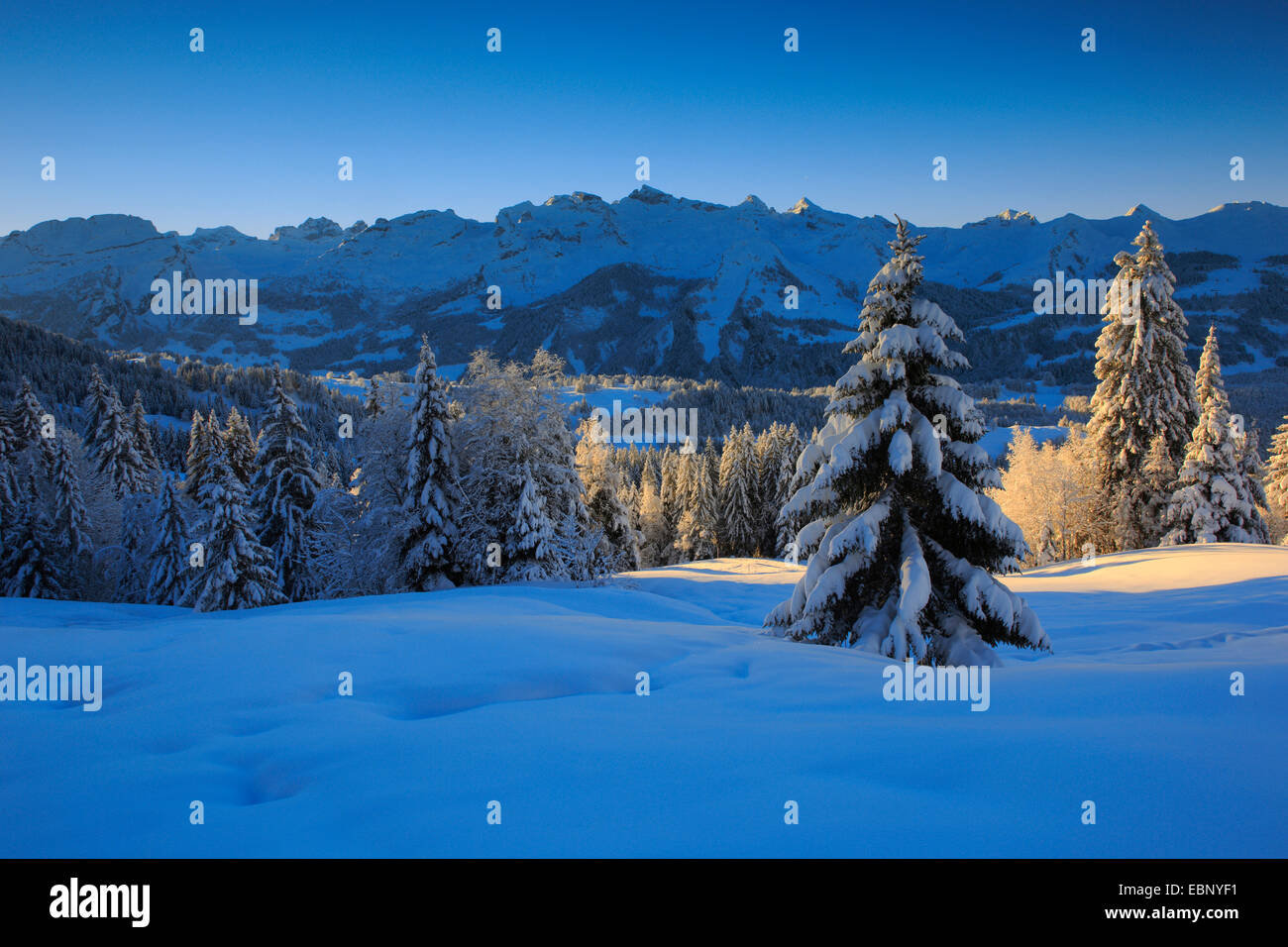 Paysage de montagne enneigée du Centre Alpes Suisses dans la lumière du matin, Suisse Banque D'Images