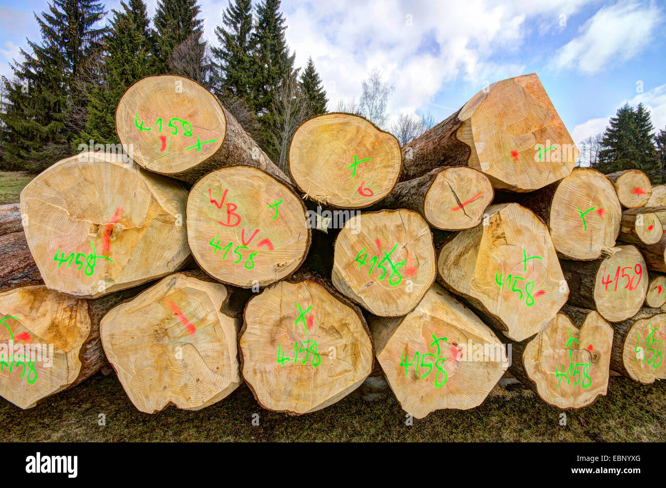 Pile de journaux marqués, Allemagne, Bavière, Oberbayern, Haute-Bavière Banque D'Images