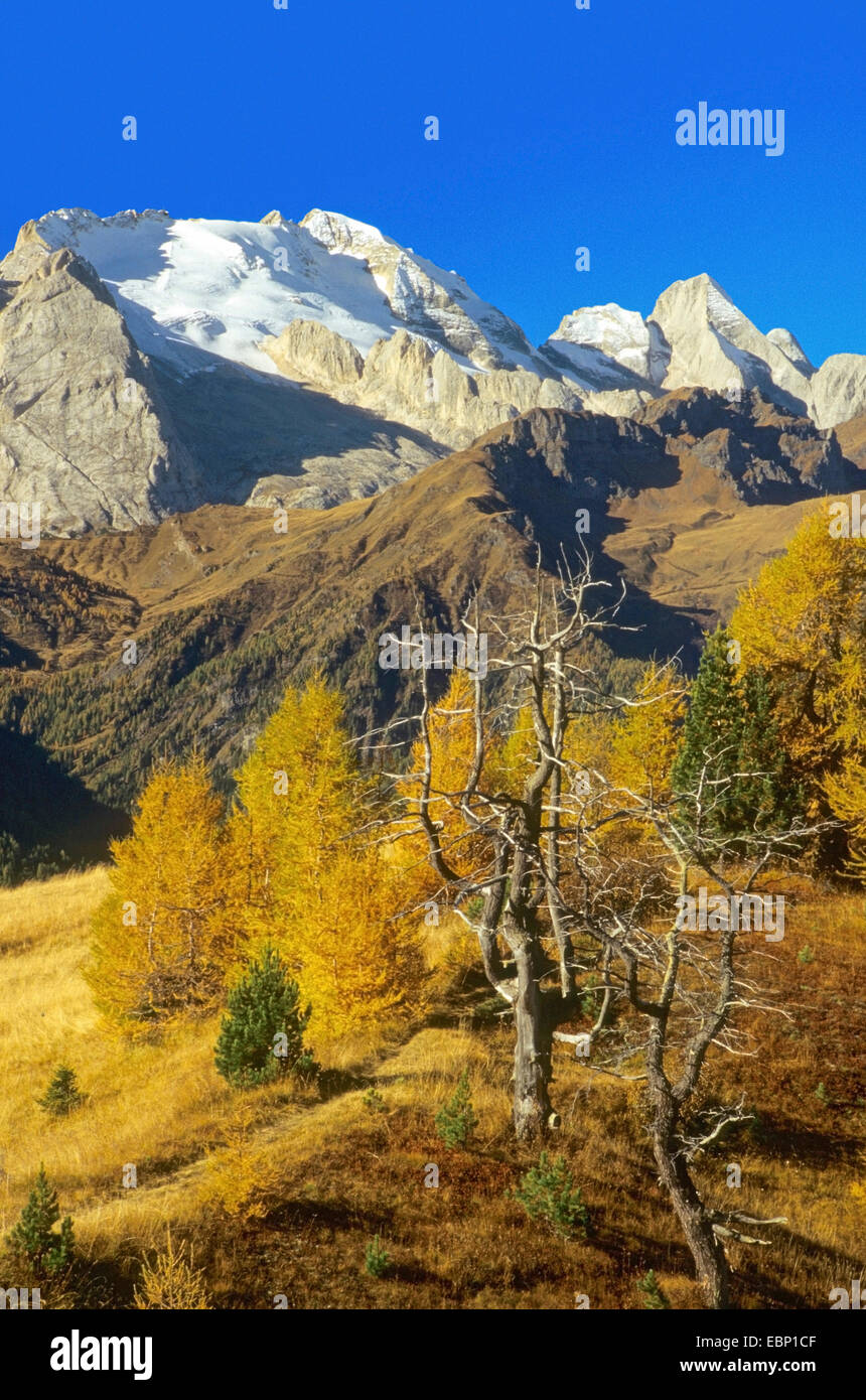 Vue de Marmolada en automne, l'Italie, le Tyrol du Sud, Dolomiten Banque D'Images
