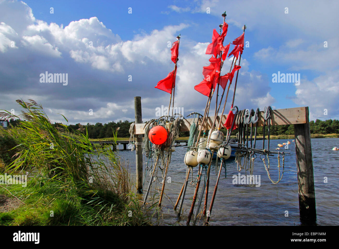 Bateau de pêche, des bouées et des drapeaux rouges pour les filets de pêche dans le port idyllique de Darss, Germany, Prerow Banque D'Images