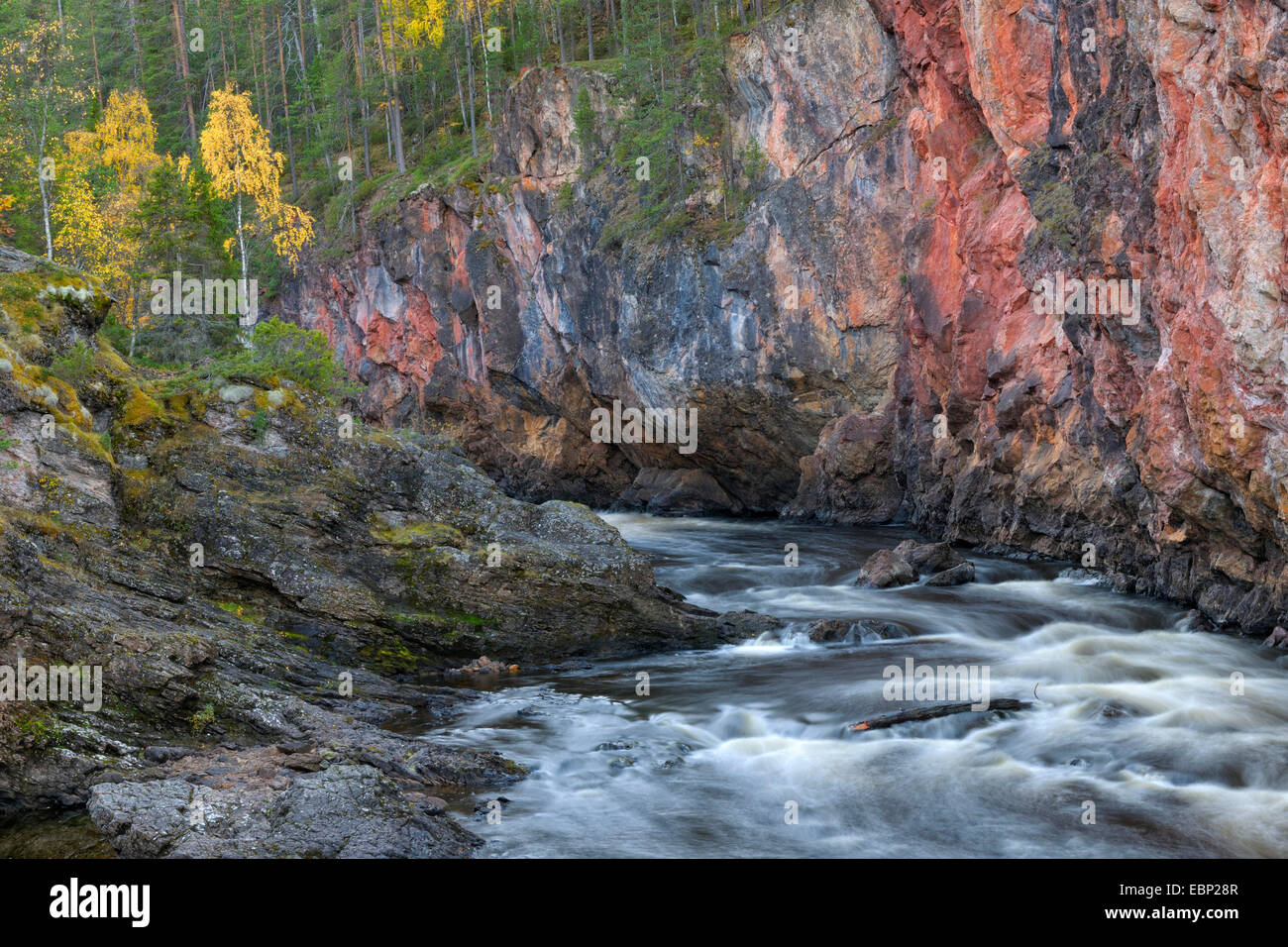 À l'automne, le Parc National d'Oulanka Finlande, Parc National d'Oulanka Banque D'Images