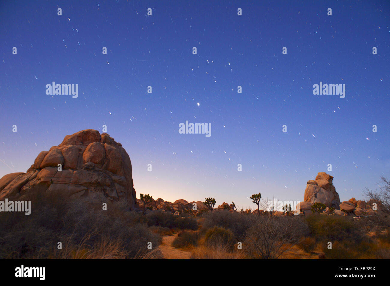 Au Joshua Tree National Park la nuit, USA, Californie, Joshua Tree National Park Banque D'Images