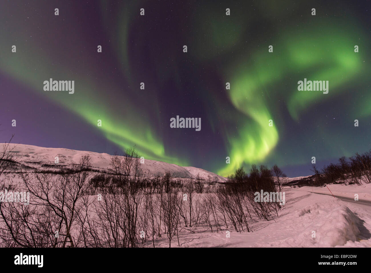 Eddy aurora en paysage d'hiver, la Norvège, Troms, Finnvikdalen Banque D'Images