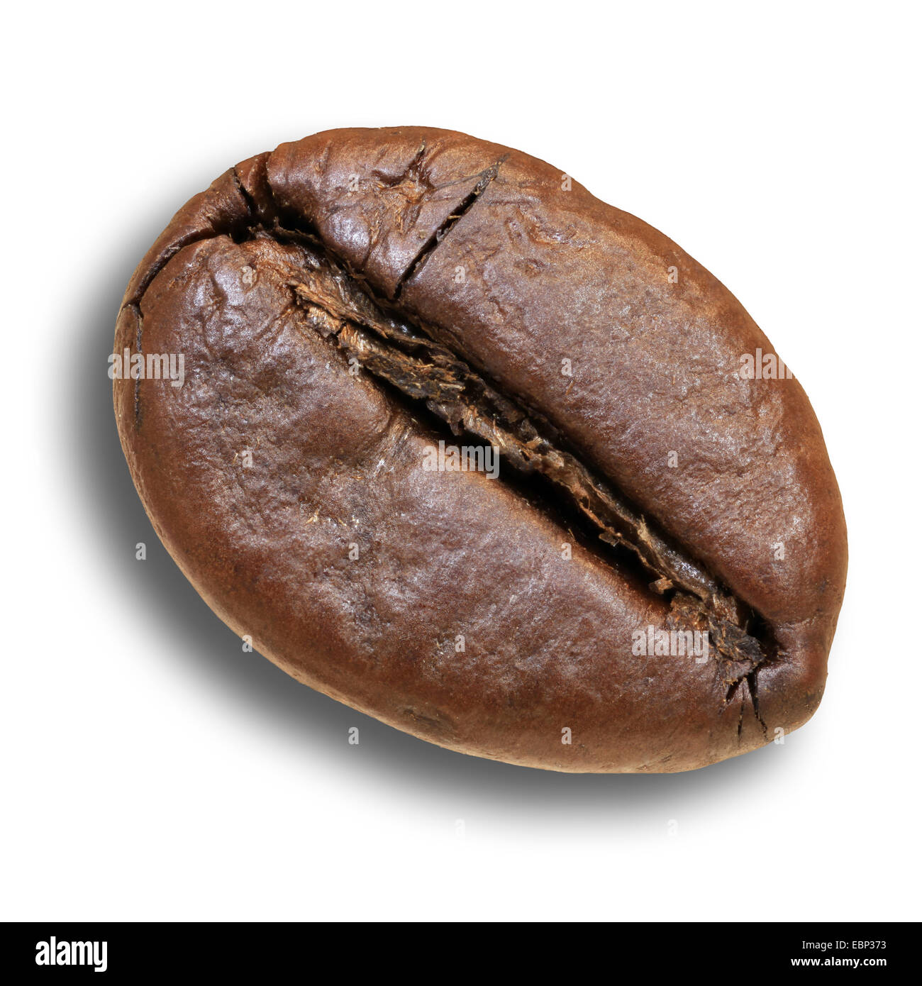 Plan macro sur un seul grain de café torréfié Banque D'Images
