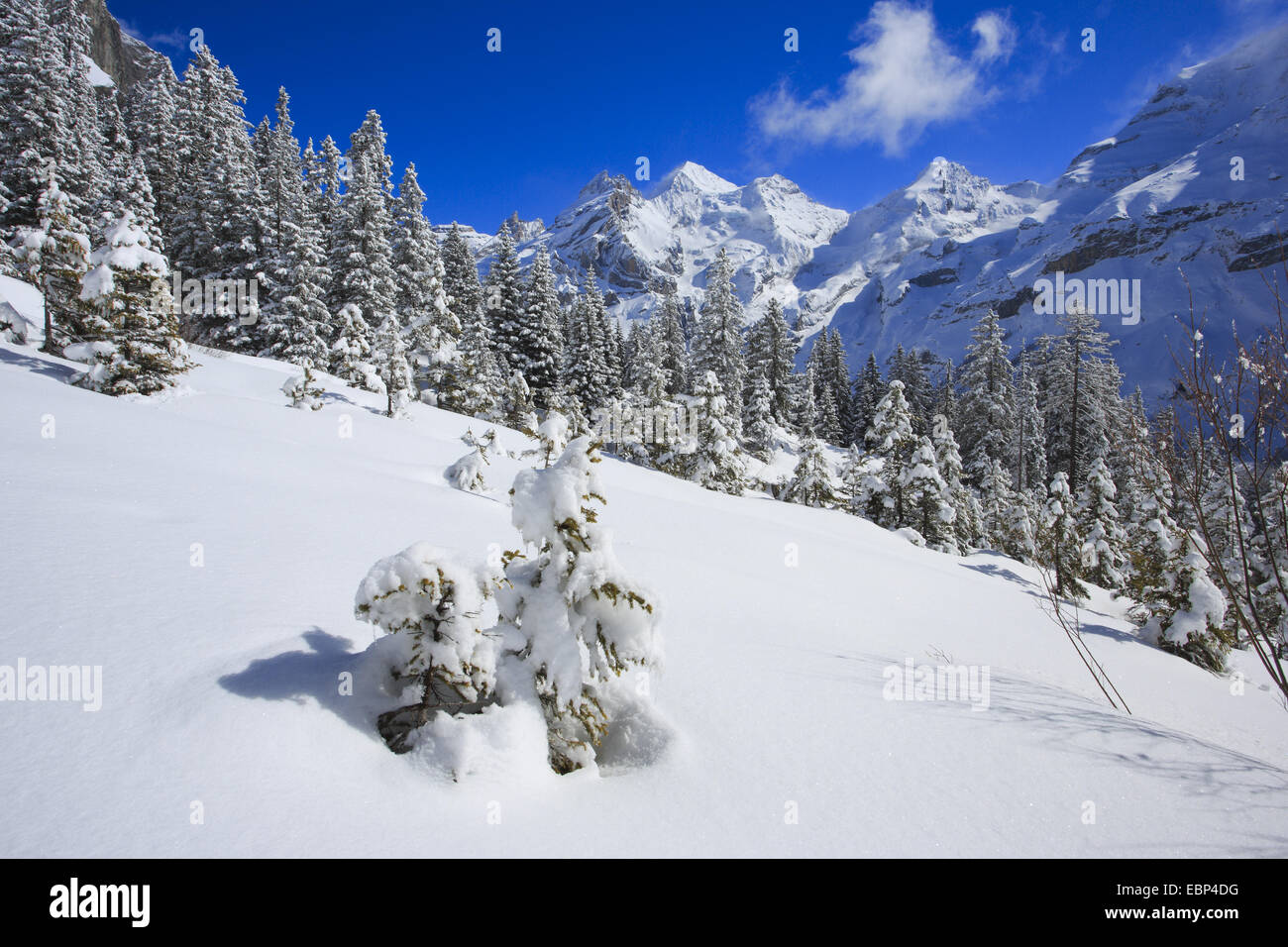 Paysage de montagne enneigée avec Blueemlisalp Rothorn, Blueemlisalphorn, Oeschinenhorn, Suisse, Alpes Bernoises Banque D'Images