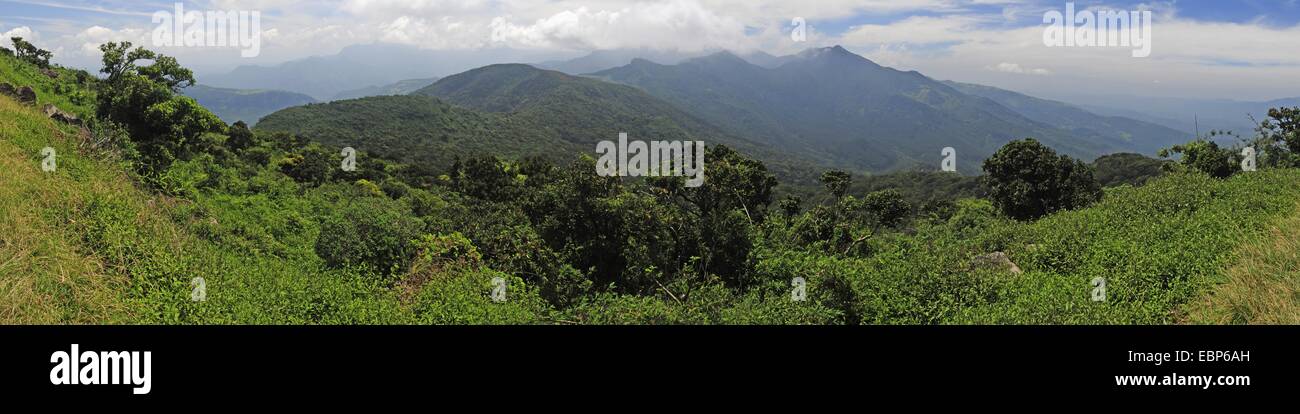 Chaîne de montagnes boisées, le Sri Lanka, Knuckles Mountain Range Banque D'Images