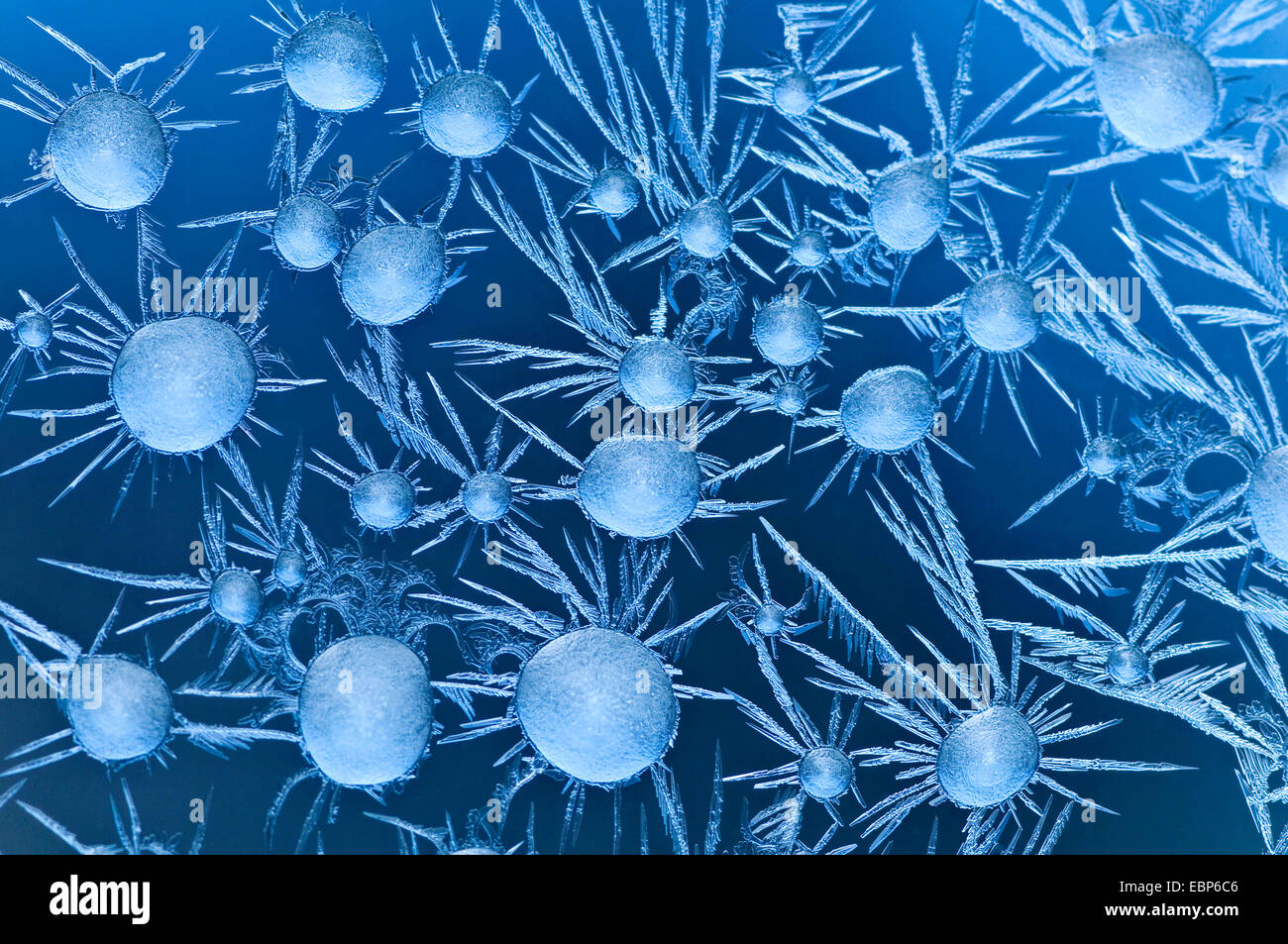 Fleurs de glace sur une fenêtre Banque D'Images