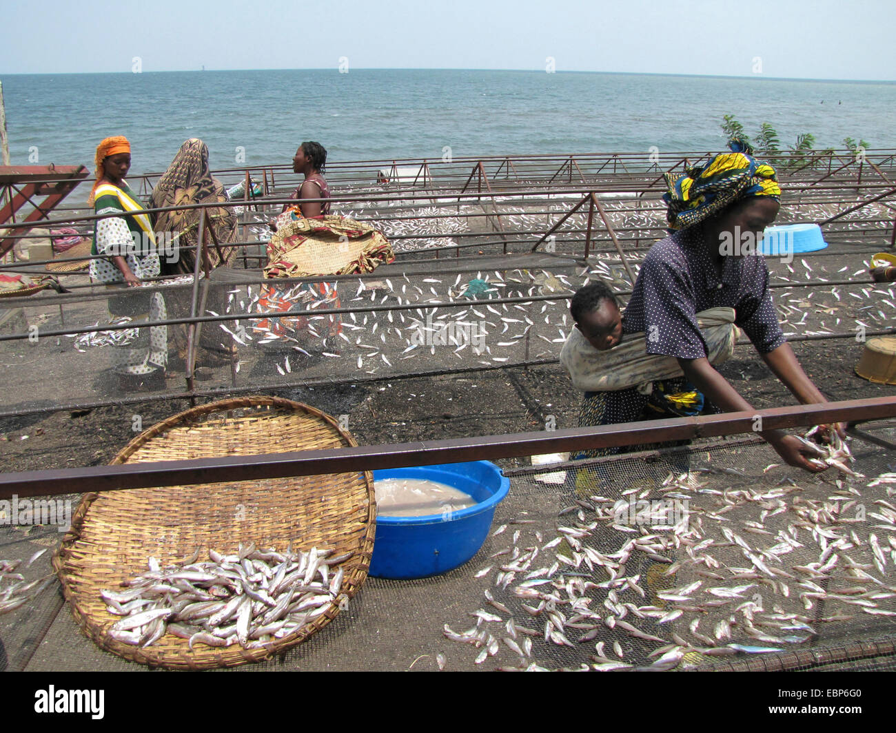 Les femmes sont le tri du poisson qui a été capturé par les pêcheurs dans le lac Kivu, Rwanda, Gisenyi Banque D'Images