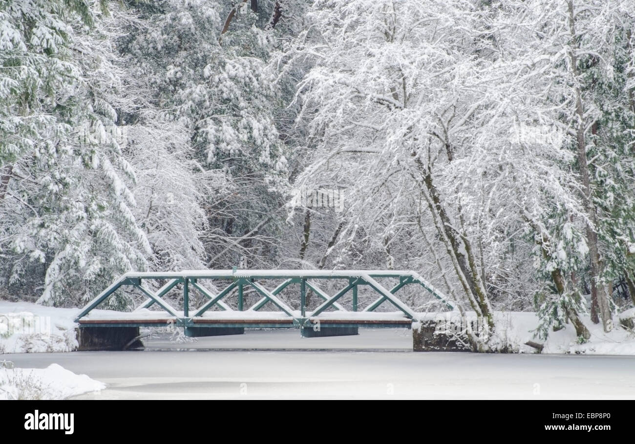 Le pont sur le ruisseau Berry est décoré dans Première neige de l'hiver de la saison, Sierra Foothills of Northern California Banque D'Images