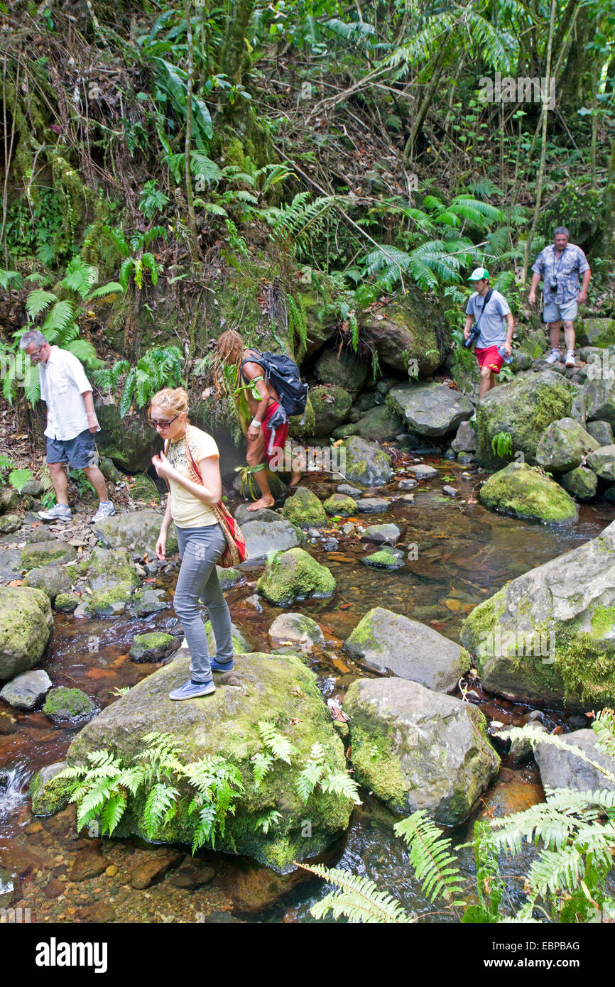 Les randonneurs sur le populaire Cross-Island Trek voyage Rarotonga Banque D'Images