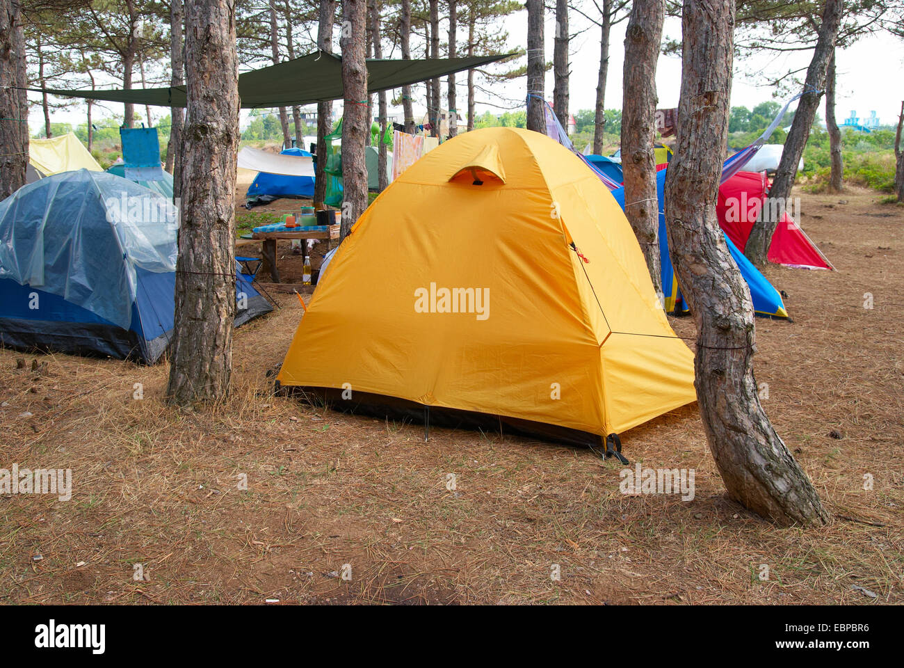 Camping dans la forêt avec beaucoup de tentes Banque D'Images