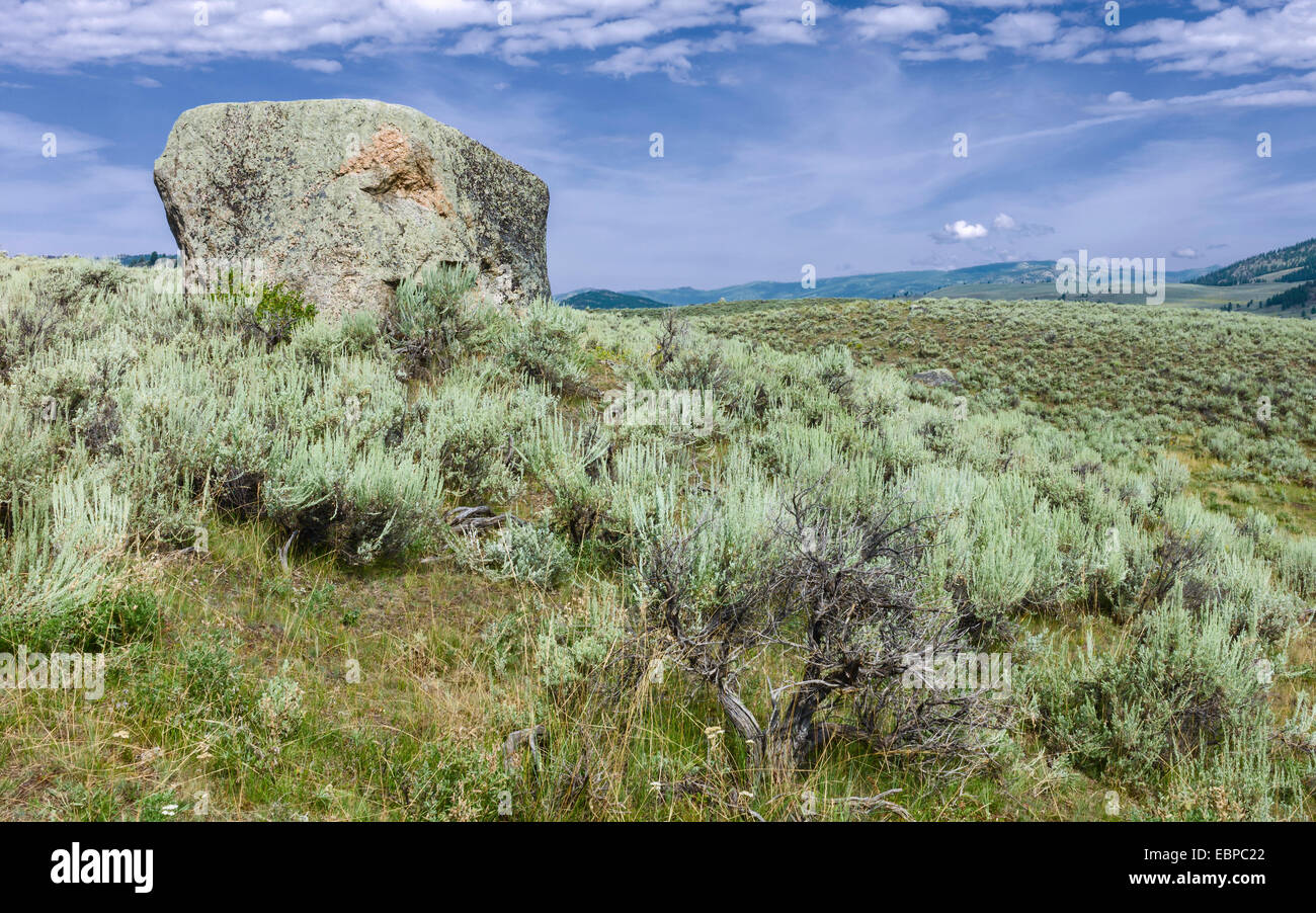 Le Parc National de Yellowstone sur une journée ensoleillée montrant les montagnes, le paysage vallonné et les roches arides dans le bush. Banque D'Images