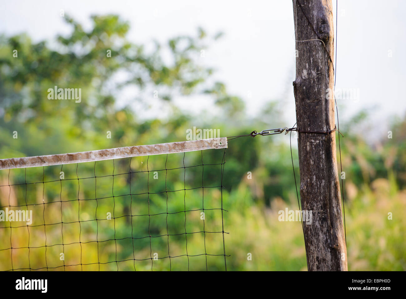 Sport d'été de volley-ball Banque D'Images