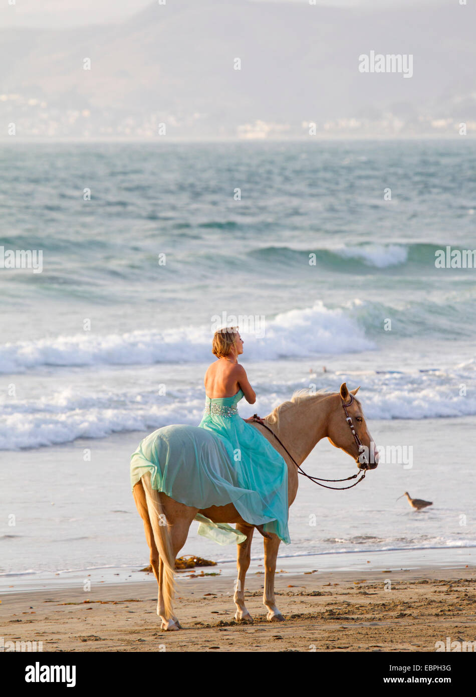 Blonde femme Turquoise mousseline Robe Palomino cheval sur la plage Banque D'Images