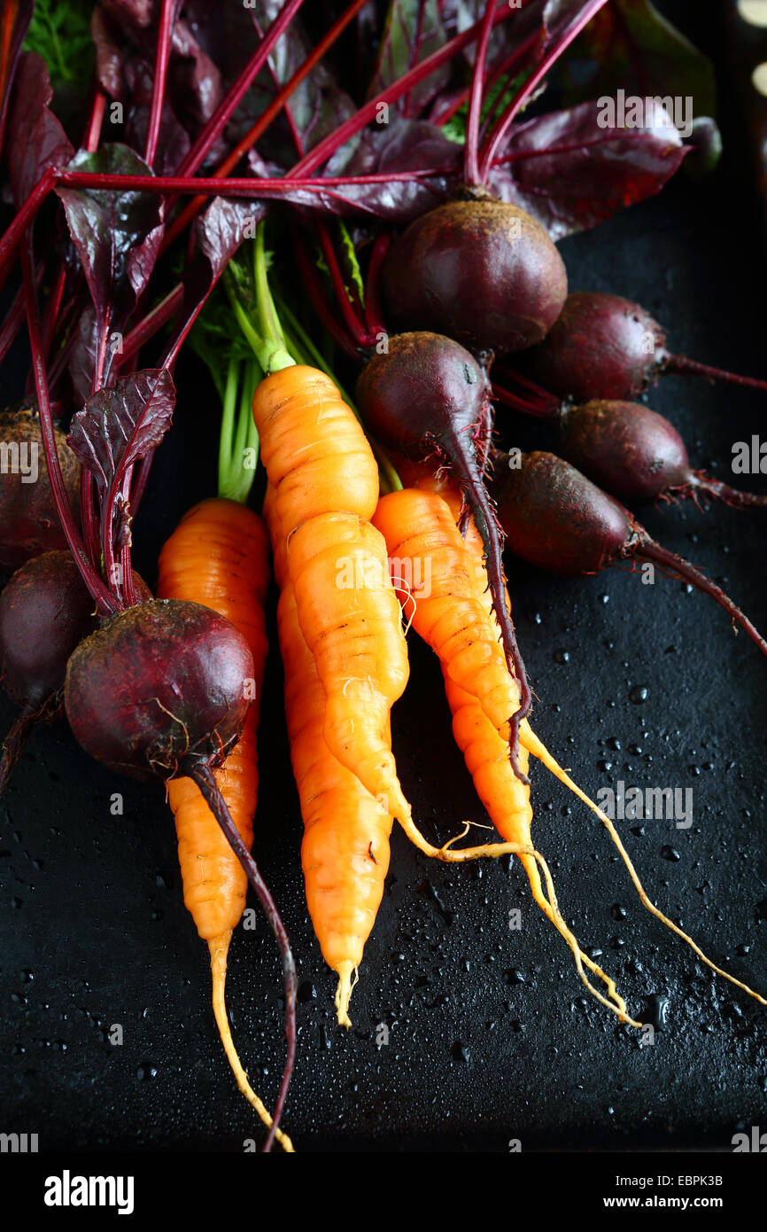 Carottes fraîches de betteraves sur un fond noir, de l'alimentation Banque D'Images