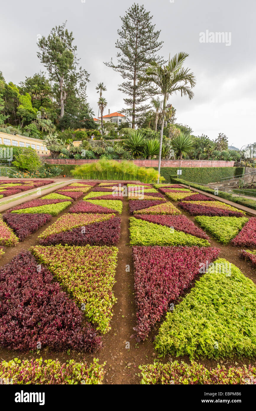 Une vue sur les jardins botaniques, Jardim Botanico do Funchal, dans la ville de Funchal, Madeira, Portugal, Europe Banque D'Images