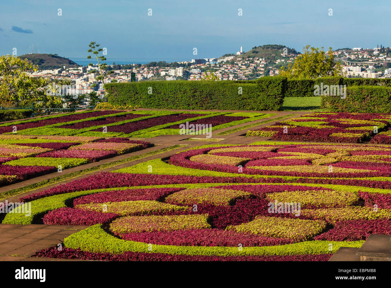 Une vue sur les jardins botaniques, Jardim Botanico do Funchal, dans la ville de Funchal, Madeira, Portugal, Europe Banque D'Images