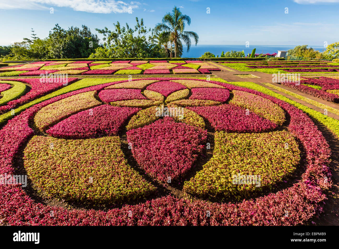 Une vue sur les jardins botaniques, Jardim Botanico do Funchal, dans la ville de Funchal, Madeira, Portugal, Europe Banque D'Images