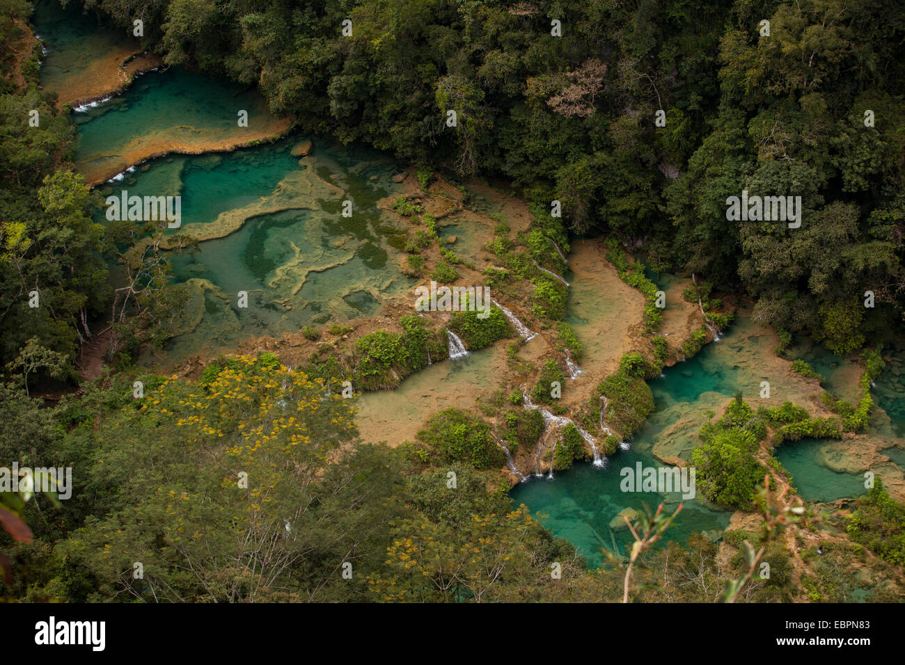 Semuc Champey cascades, Guatemala, Amérique Centrale Banque D'Images