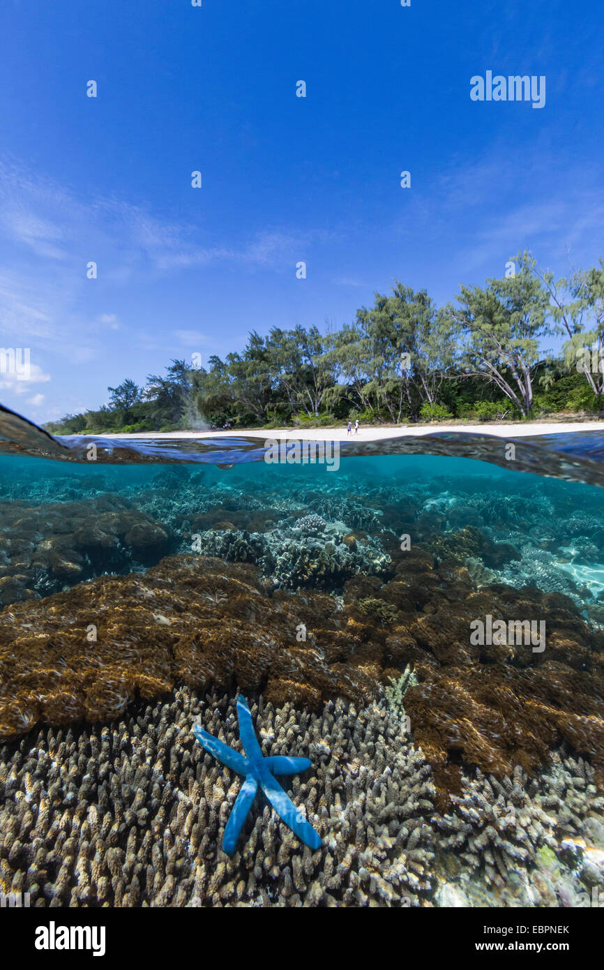 Au-dessus et au-dessous de la barrière de corail et la plage de sable fin sur l'île de Jaco, mer de Timor, au Timor oriental, en Asie du Sud-Est, l'Asie Banque D'Images