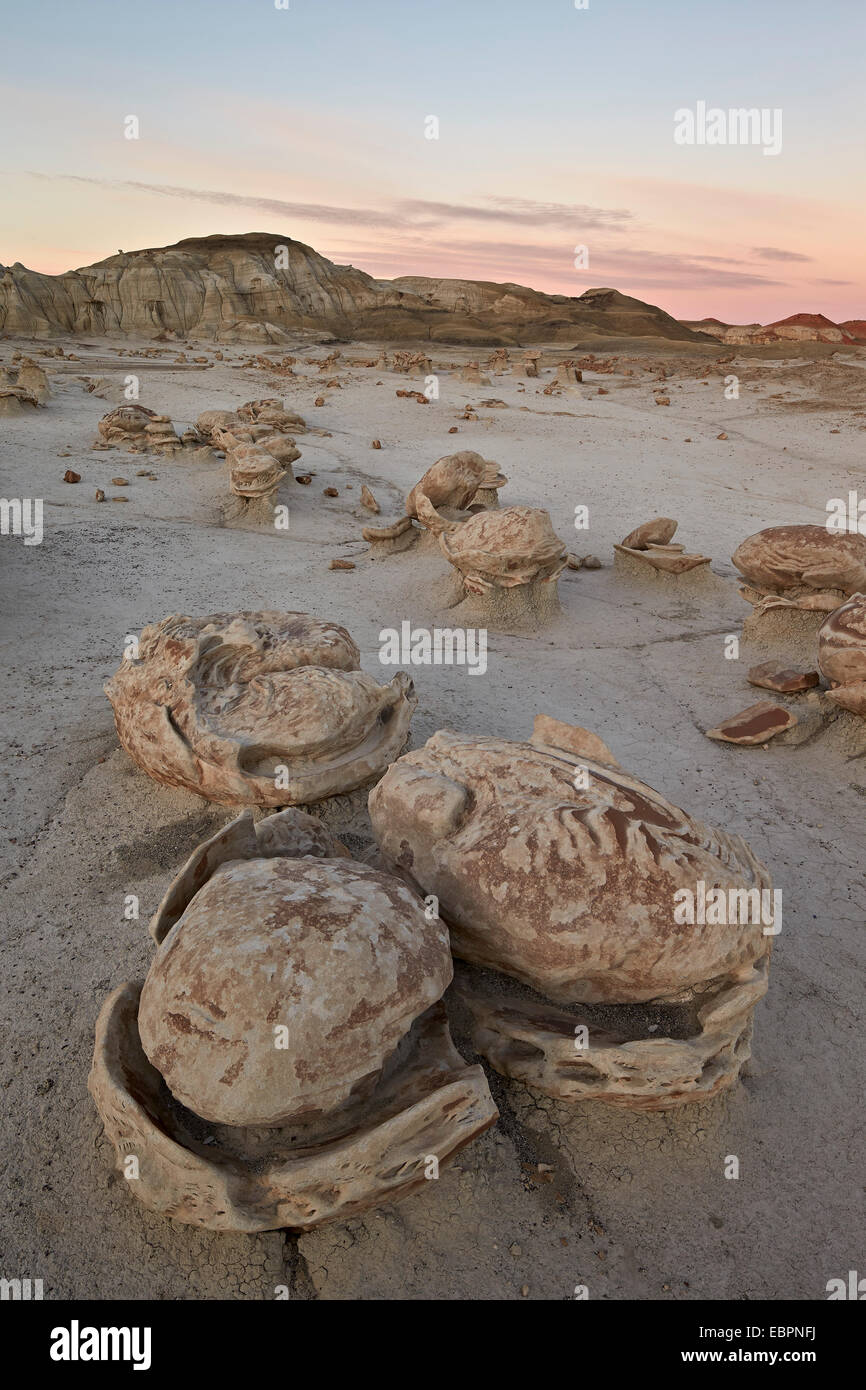 Rochers érodés à l'usine d'Œufs, Bisti Wilderness, Nouveau Mexique, États-Unis d'Amérique, Amérique du Nord Banque D'Images